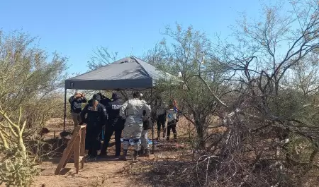 Guerras Buscadoras de Guaymas y Empalme