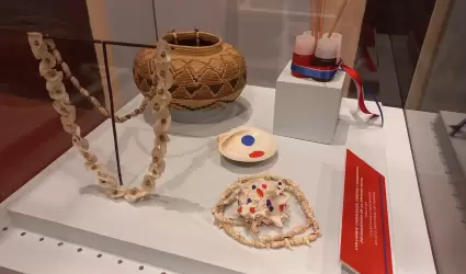 Exposici�n del Museo Regional de Sonora