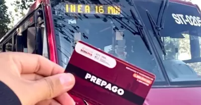 L�nea 16, transporte p�blico, camiones