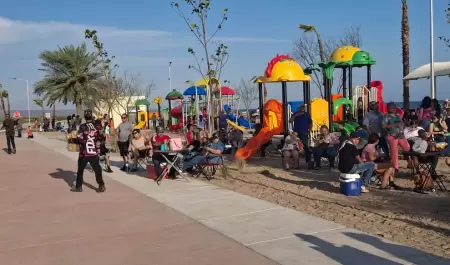 Malec�n "El Cochorit"