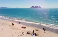 Playas seguras en Semana Santa: alertan por calor y fauna marina en Sonora