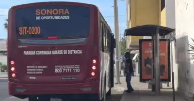 Camiones, transporte p�blico, Hermosillo