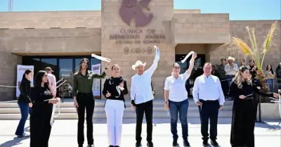 Cl�nica de Bienestar Animal