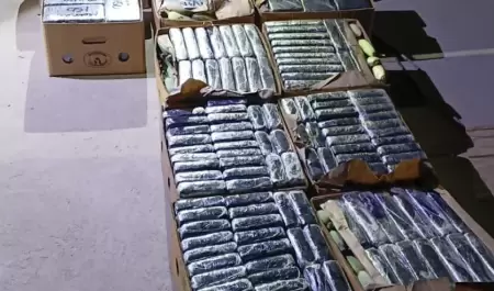 Droga asegurada en San Luis R�o Colorado