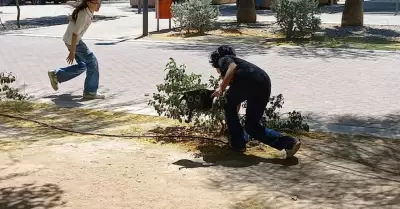B�squeda de huevos en el Parque Madero.