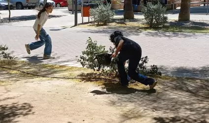 B�squeda de huevos en el Parque Madero.