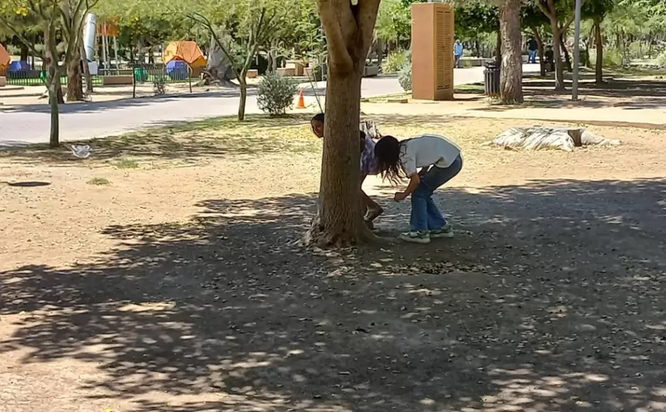 B�squeda de huevos en el Parque Madero.