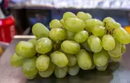 Prev�n producci�n de 16 millones de cajas de uva de mesa en distrito de Hermosillo