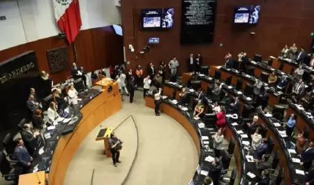 Senado