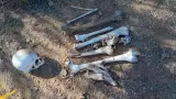 Osamentas encontradas en Benjam�n Hill