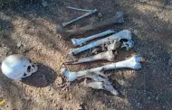 Buscadoras por la Paz localizan restos humanos en Benjam�n Hill