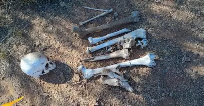 Osamentas encontradas en Benjam�n Hill