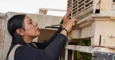 Limpieza en patios y hogares.