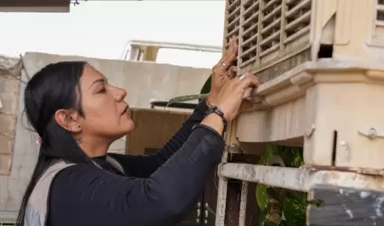 Limpieza en patios y hogares.