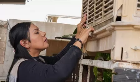 Limpieza en patios y hogares.