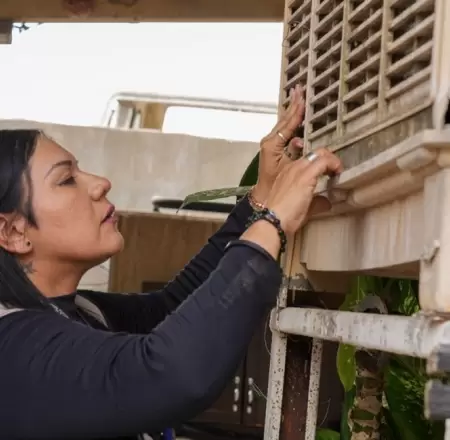 Limpieza en patios y hogares.