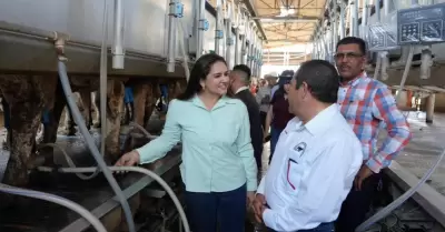 Productividad lechera