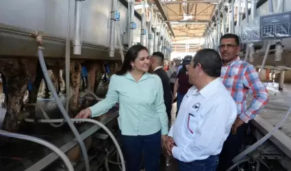 Productividad lechera