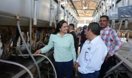 Productividad lechera