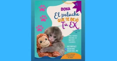 "Dona el peluche que te dej� tu ex"