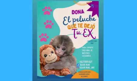 "Dona el peluche que te dej� tu ex"