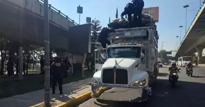 Mueren 2 recolectores de basura tras impactarse contra puente