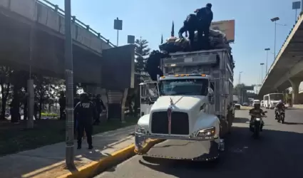 Mueren 2 recolectores de basura tras impactarse contra puente