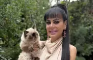 Critican a Maribel Guardia por recomendar sueros vitaminados