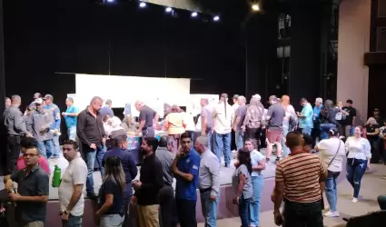 Votaci�n del Steus