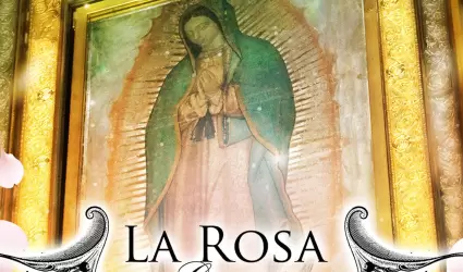 La rosa de Guadalupe