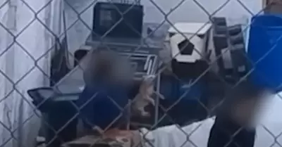 Presunto maltrato animal en Nogales