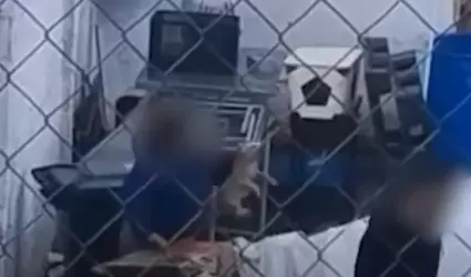 Presunto maltrato animal en Nogales