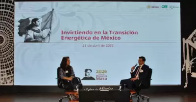 CFE abre puerta a inversi�n privada