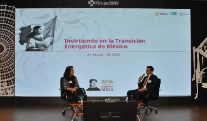 CFE abre puerta a inversi�n privada