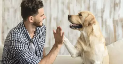 Comunicarte con tu perro.