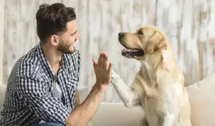 Comunicarte con tu perro.