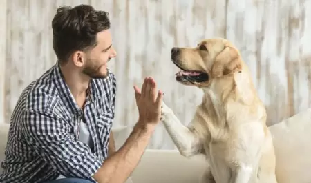 Comunicarte con tu perro.