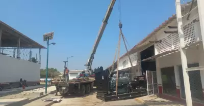 Planta de moscas est�riles