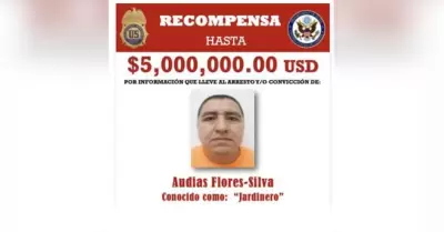 Aud�as Flores Silva