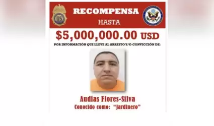 Aud�as Flores Silva