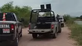 Canal Bajo, en el Valle del Yaqui