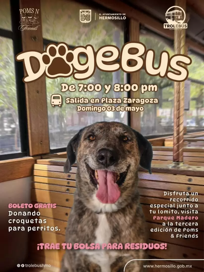 DogeBus