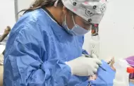 Mantendr�n en mayo esterilizaciones gratuitas para perros y gatos