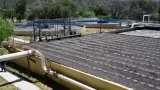 Nogales