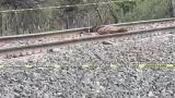 Hallan cuerpo de un hombre sobre las v�as del tren en Estaci�n Zamora