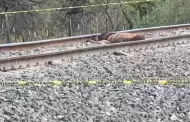 Localizan cad�ver de un hombre en v�as del tren en Estaci�n Zamora