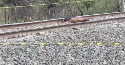 Hallan cuerpo de un hombre sobre las v�as del tren en Estaci�n Zamora