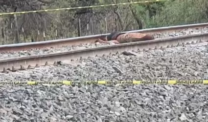 Hallan cuerpo de un hombre sobre las v�as del tren en Estaci�n Zamora