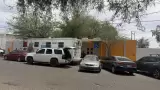 Instituto Municipal de Protecci�n y Bienestar Animal