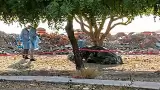 Asesinato en Rancho Grande